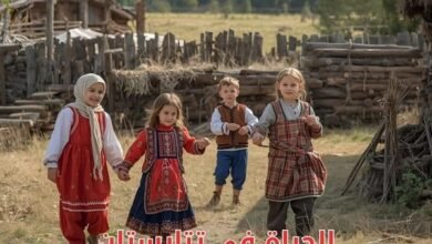 الحياة في تتارستان