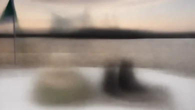 صورة للضباط والأفراد في القوات البحرية الملكية السعودية على قاعدة بحرية، تظهر السفن والمعدات والرتب المختلفة.